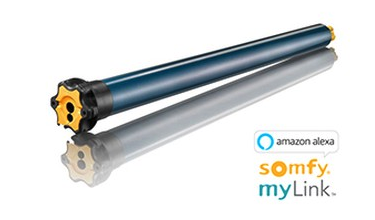 Somfy motor