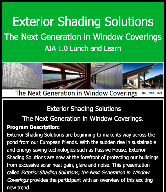 AIA lunch and learn