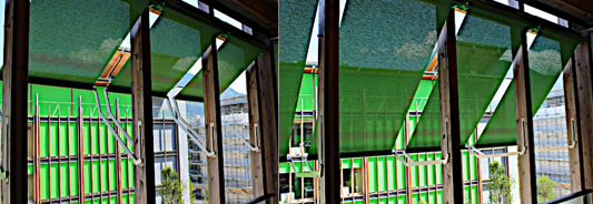 FM 41 Exterior Shade