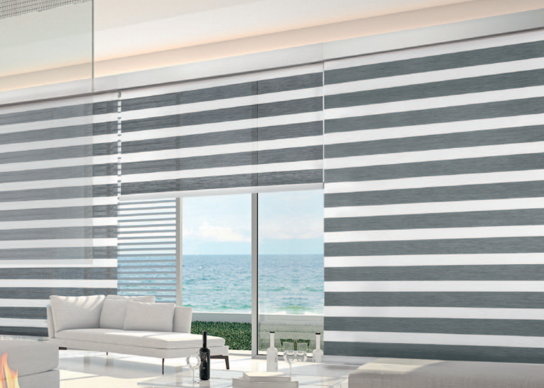 interior dual shades