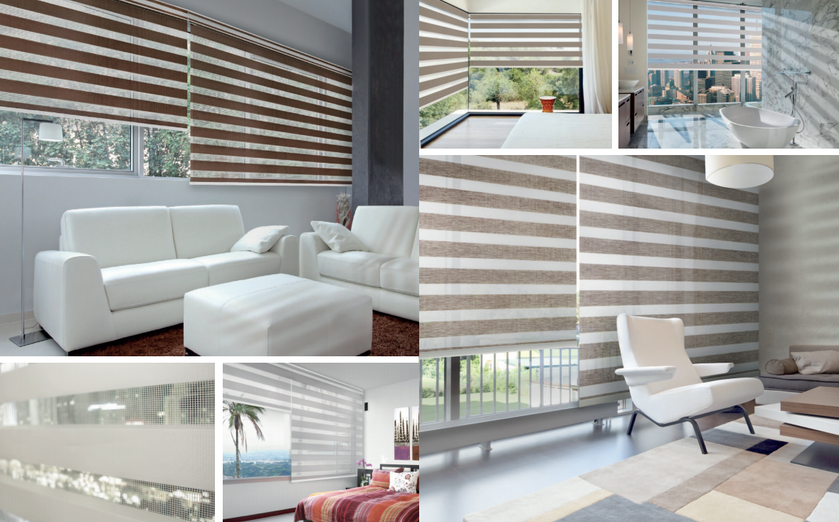 interior dual shades